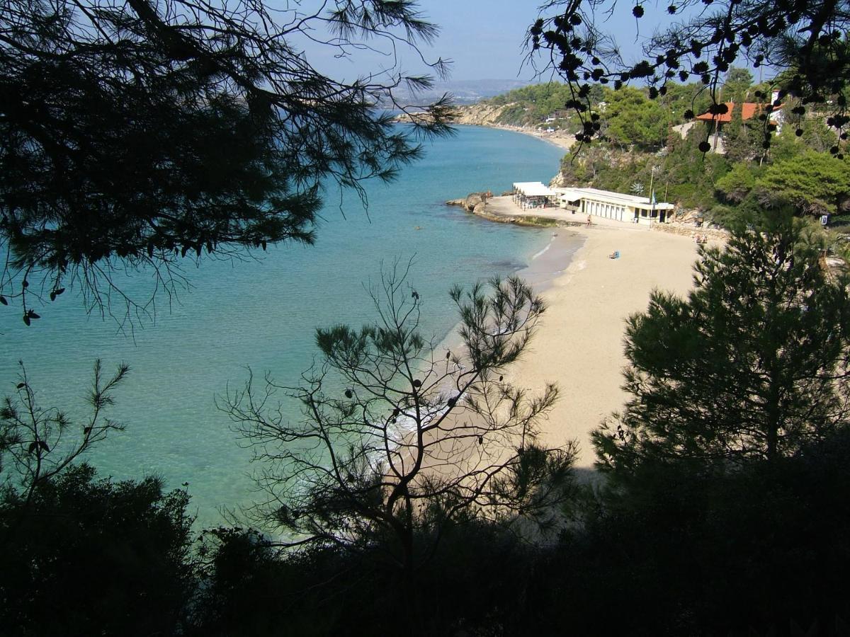 Anna'S Studios Argostoli  Exterior foto