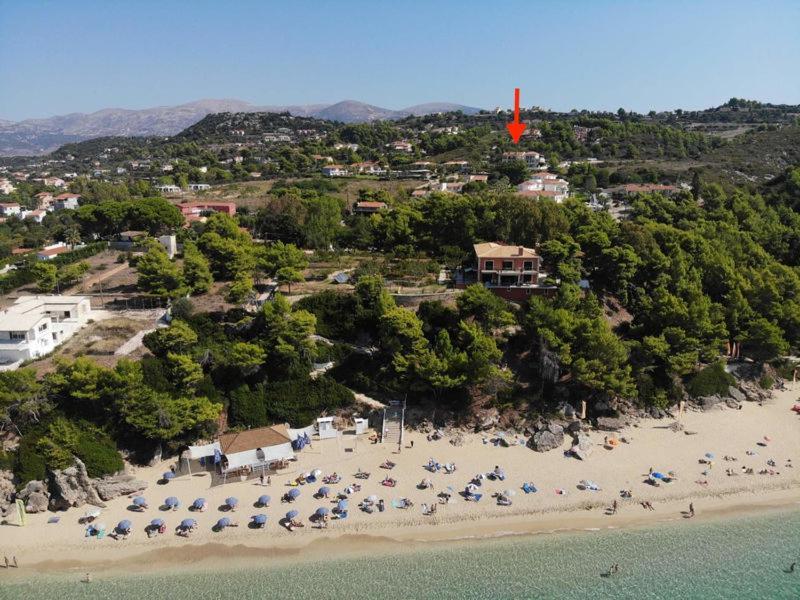 Anna'S Studios Argostoli  Exterior foto